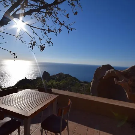 Corallo Costa Paradiso